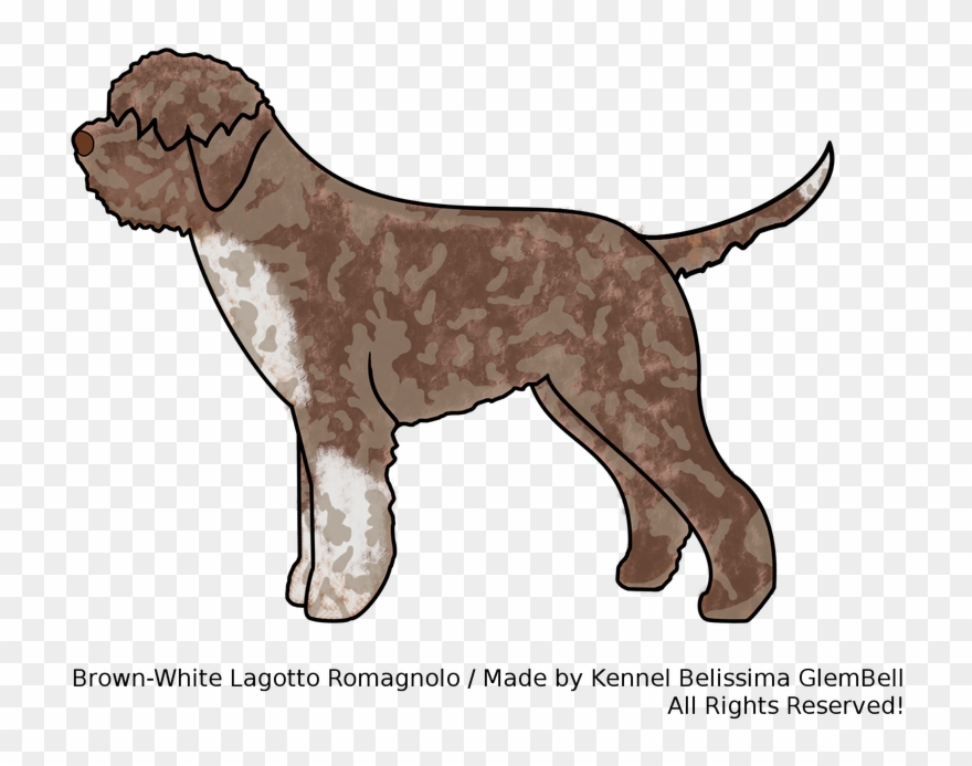 Oversize Or Undersize - Cat Clipart