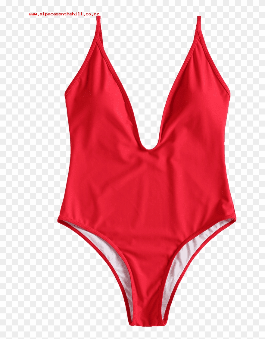 One Piece Swimsuit Zwltao1u Larger Image - Swimsuit Clipart