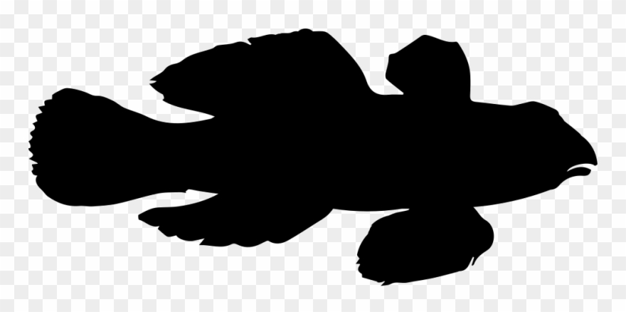 Fish Shape Of Dragonet Comments - Klavertje Vier Black And White Clipart