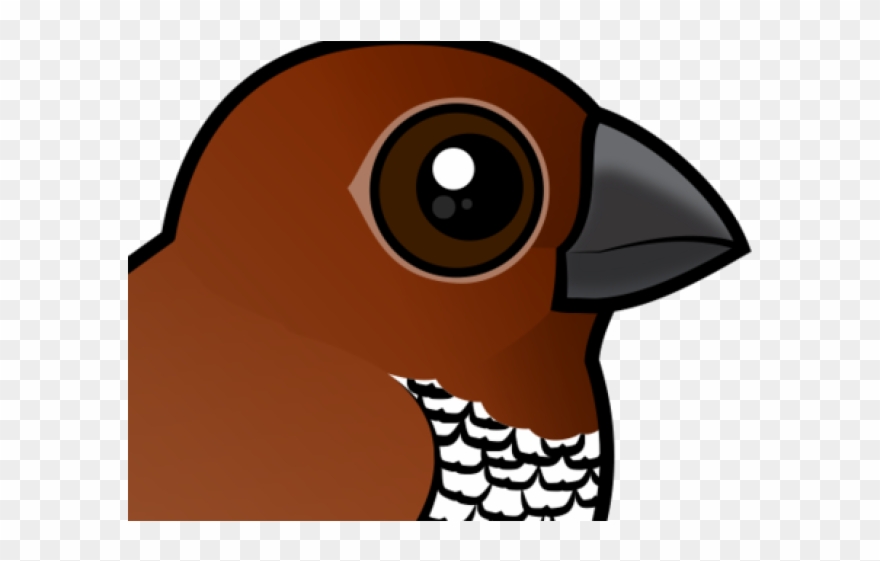 Finch Clipart Orange Bird - Png Download