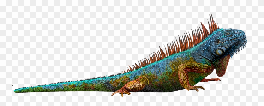 Graphic Freeuse Library Blue Huge Freebie - Green Iguana Clipart
