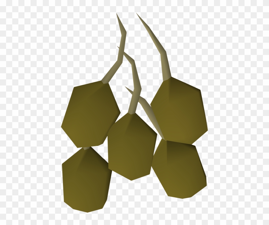 Svg Freeuse Stock Seed Runescape Wiki Fandom Powered Clipart