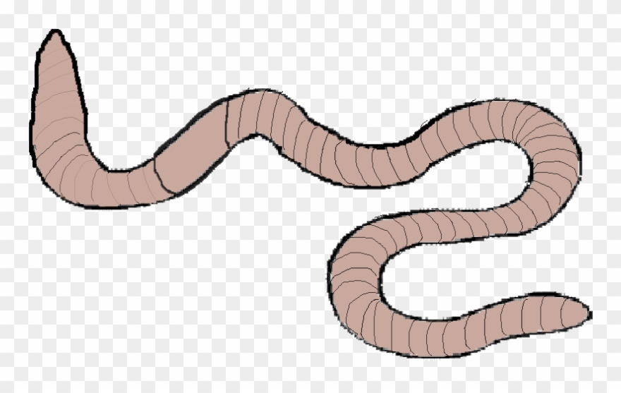 Clipart Minibeasts - Mini Beasts Clip Art - Png Download