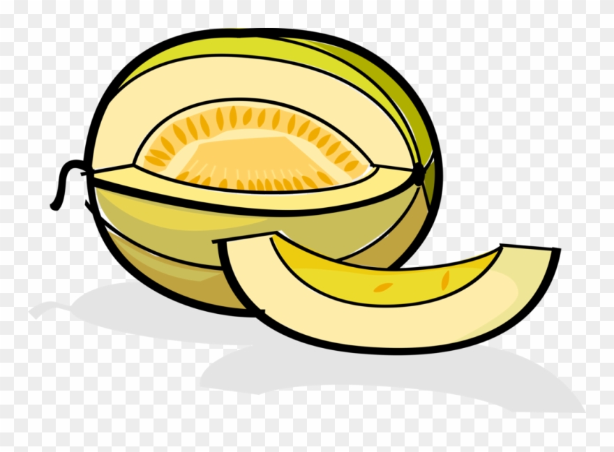Vector Illustration Of Muskmelon Cultivar Honeydew - Melon Clip Art - Png Download