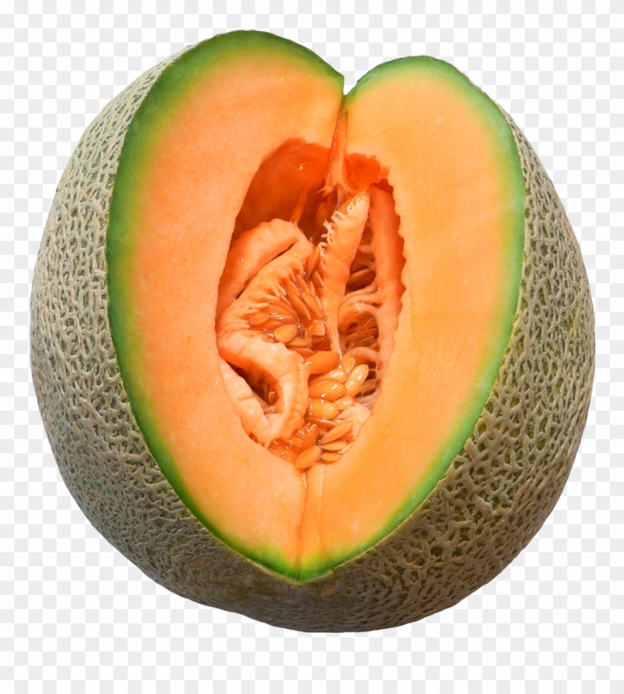 Melon Clipart Kharbuja - Nombre Cientifico Del Melon - Png Download