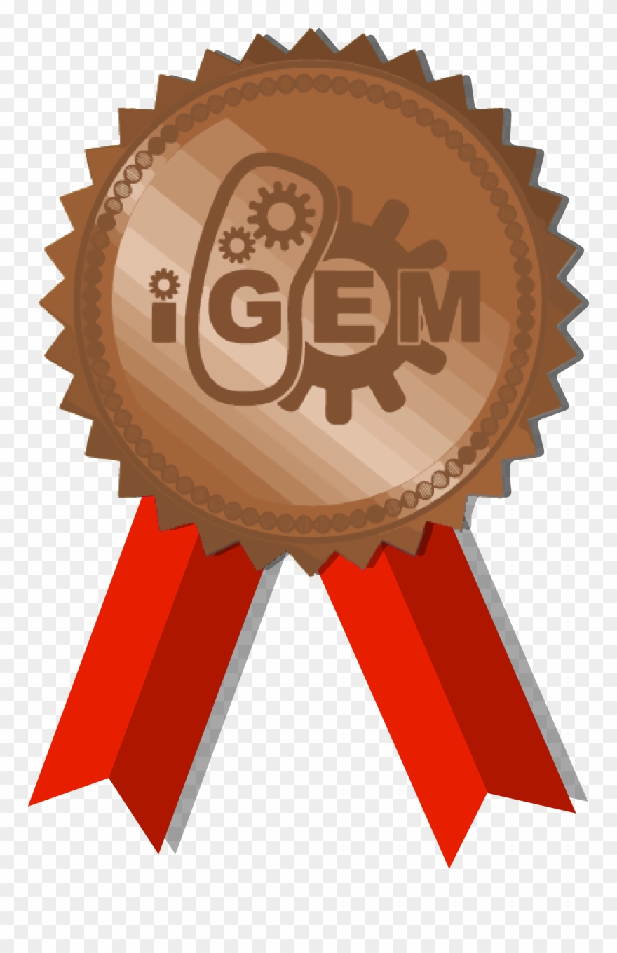 Hypothesis Clipart Customer Feedback - 3 Month Warranty Badge - Png Download