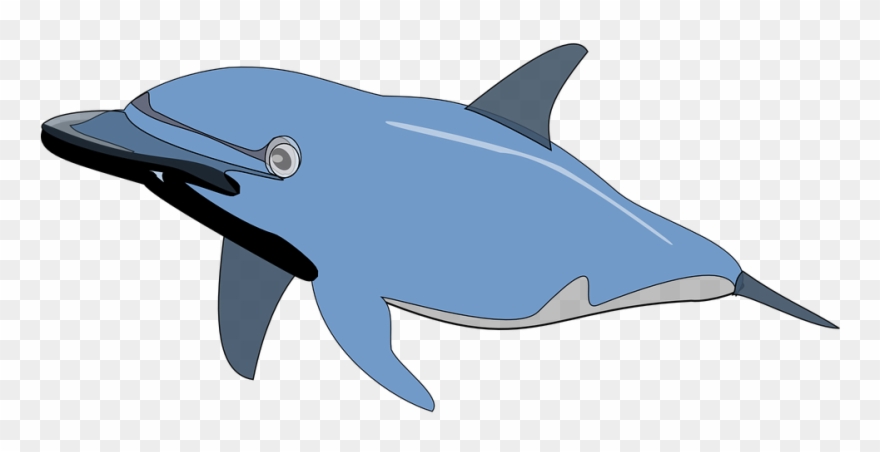 Spinner Dolphin Clipart Swimming Animal - Png Download