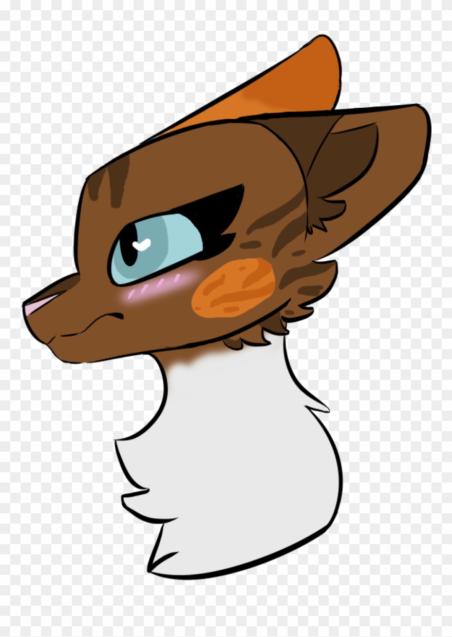 A Shucks Thumper Oh Meme Jpg Awww Shucks Thumper Oh - Cartoon Clipart