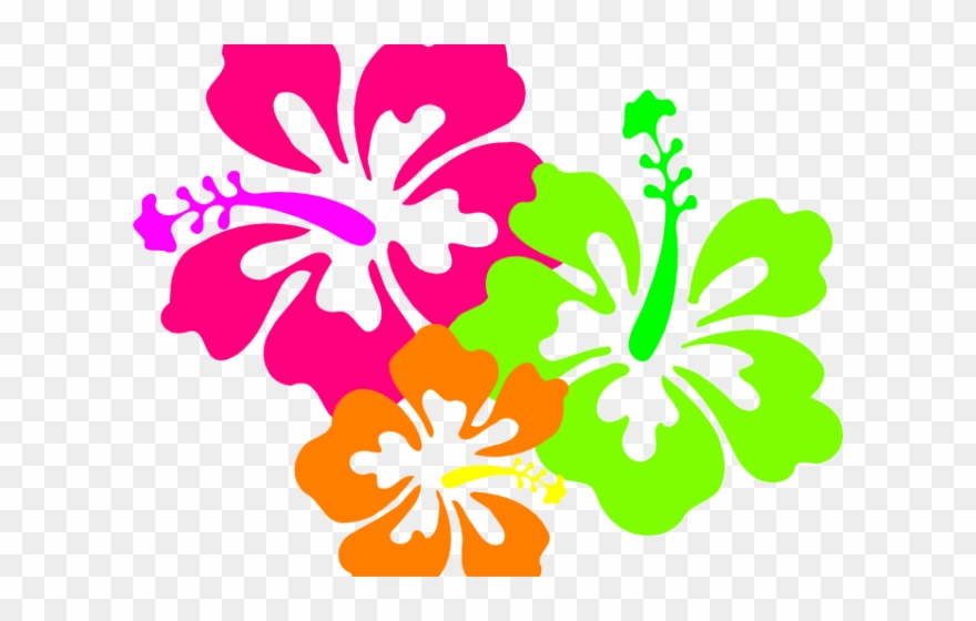 Hawaii Border Cliparts - Png Download