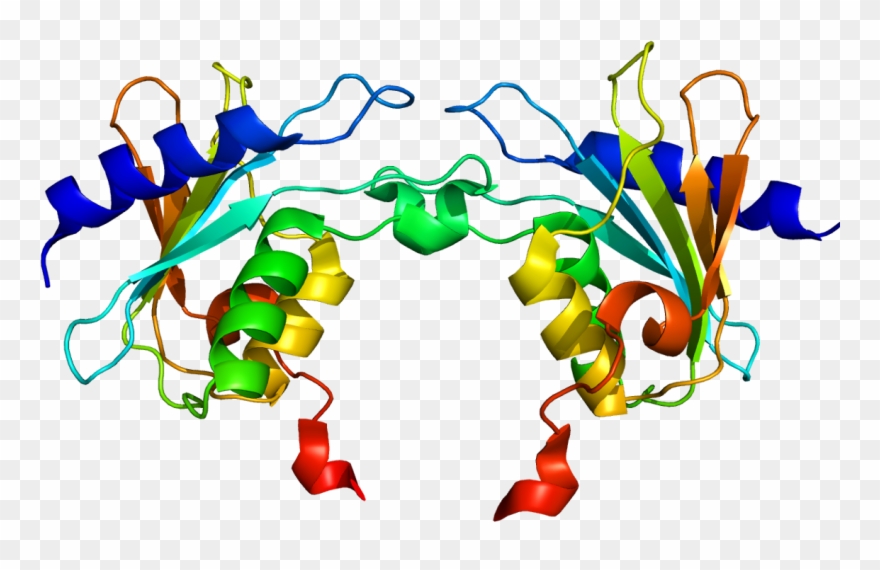 Phenylketonuria Cured In Mouse Model By Adaptation - Activation Induced Cytidine Deaminase Structure Clipart
