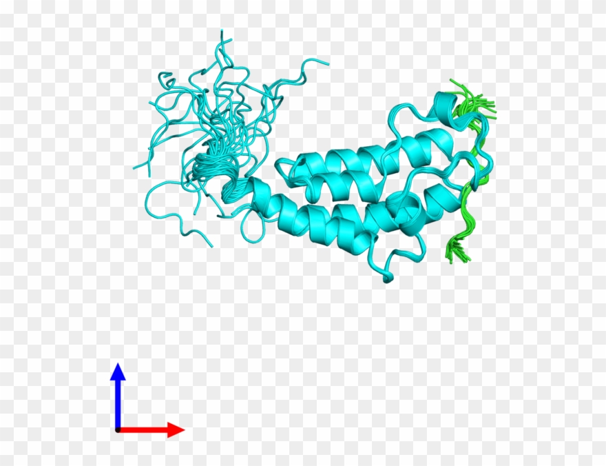 Ribbon Structure Of 2mjv Clipart