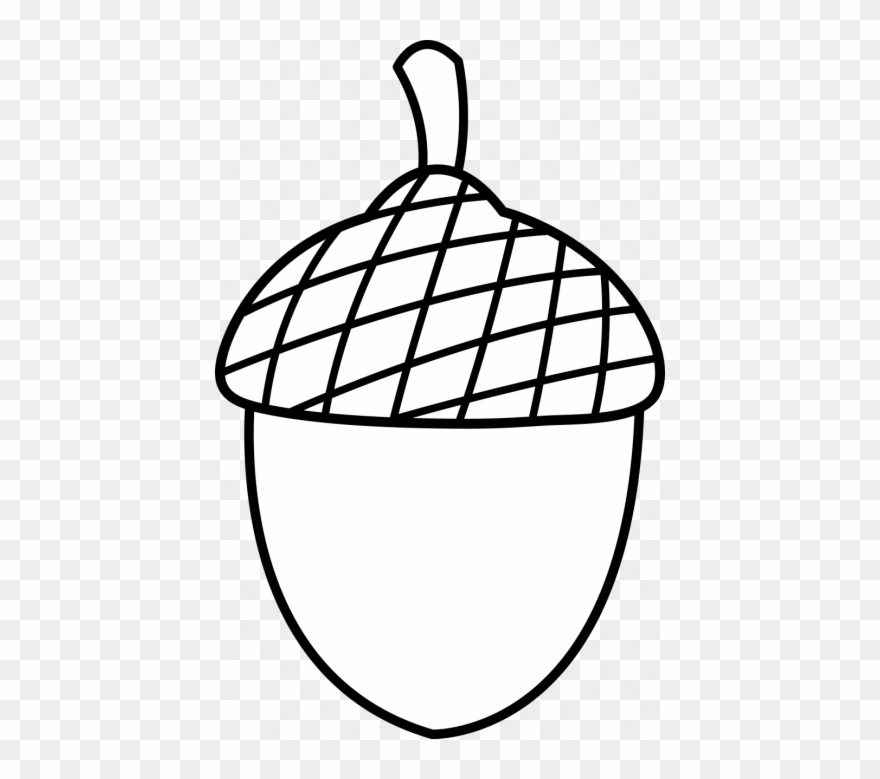 Nuts Drawing - Acorn Colouring Pages Clipart
