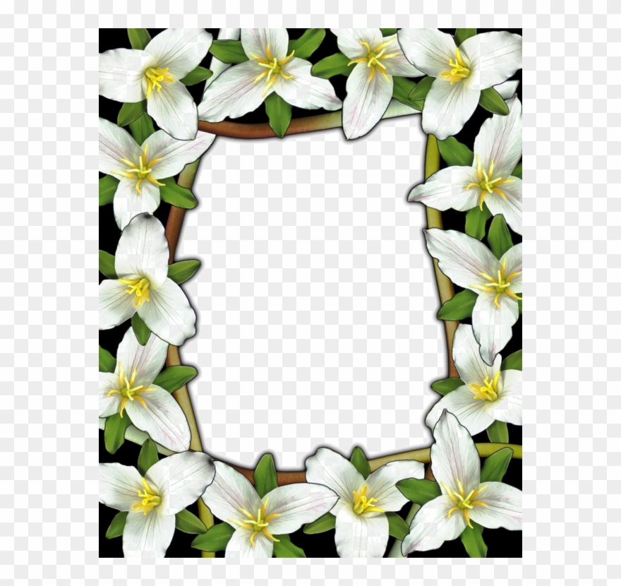 Frame Clipart, Framed Art, Clip Art, Frames, White - Prayer For The Sick - Png Download