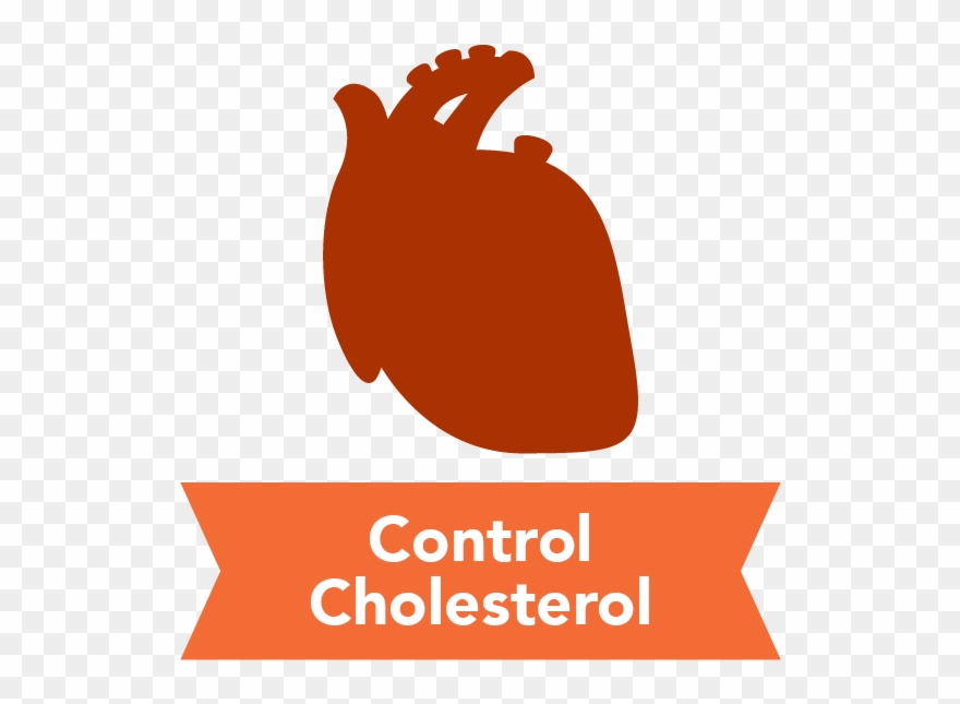 Control Cholesterol Clipart