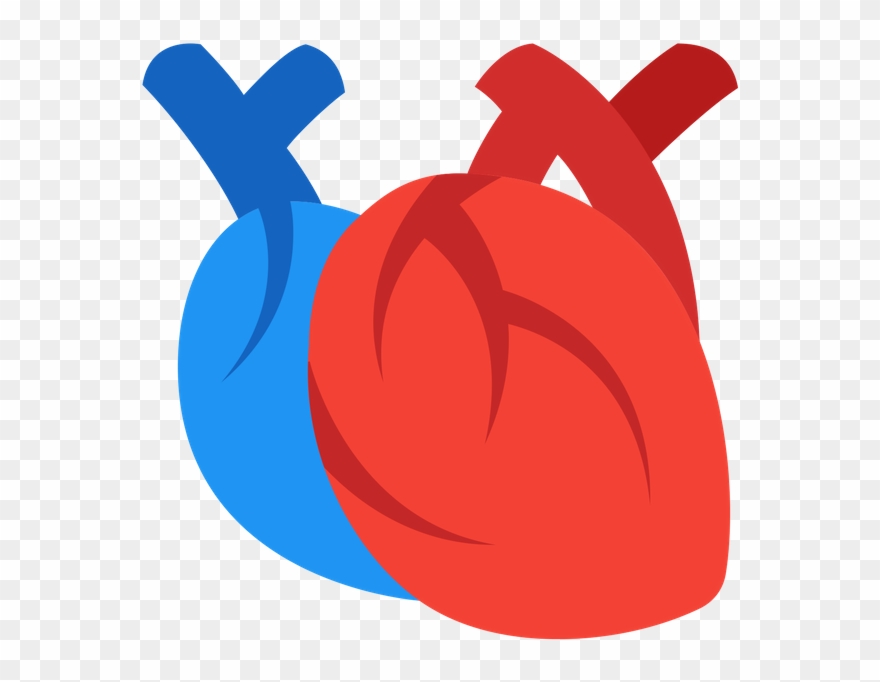 A Startup Is Looking For Participants With Any Stage - Icon Clipart