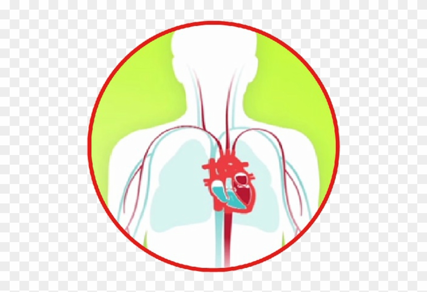 Understanding Congestive Heart Failure - Heart Failure Clipart