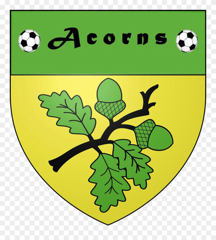 Acorns - Illustration Clipart