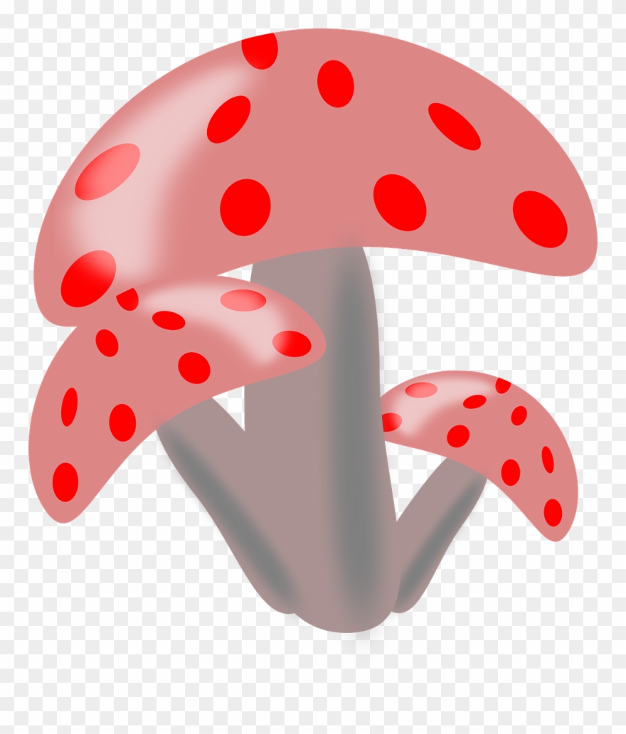 Mushrooms Vegetable Food Plant Png Image Clipart