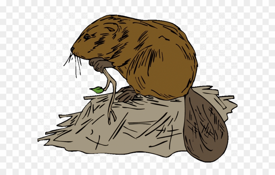 Ski Lodge Clipart Cartoon - Beaver Building Dam Clip Art - Png Download