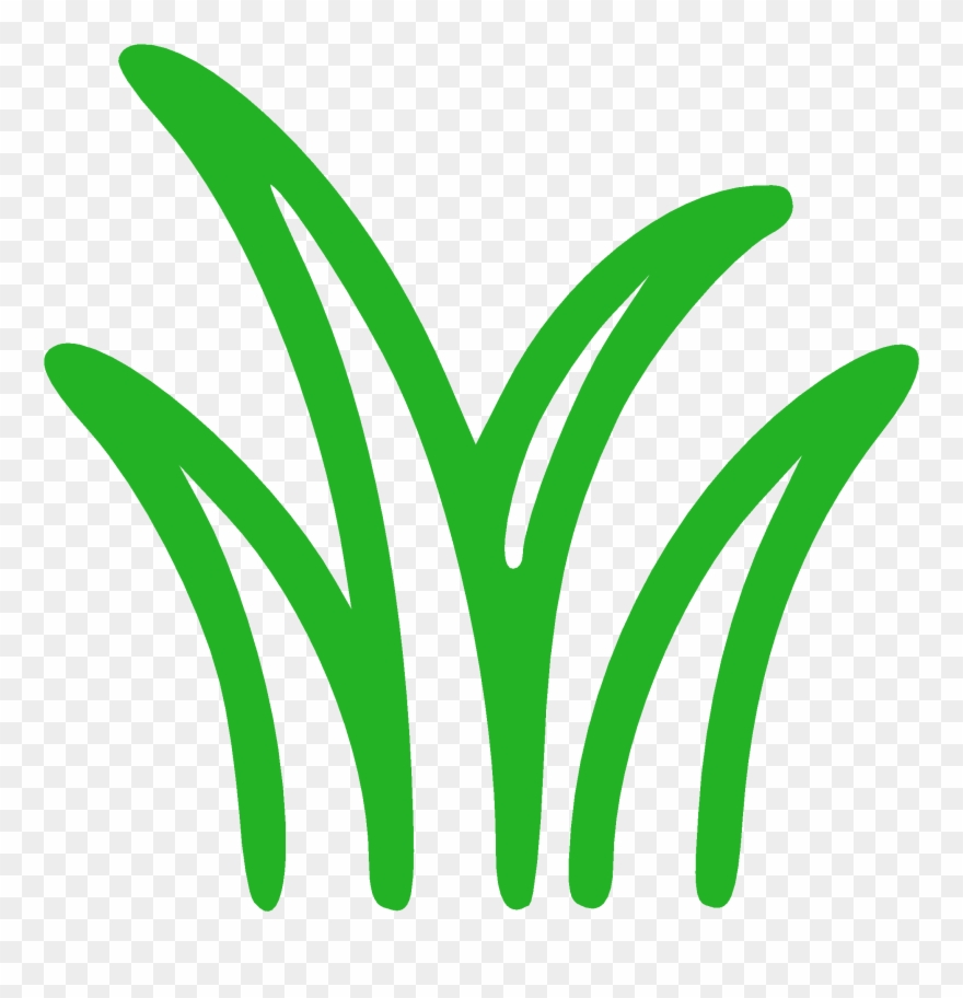 Does Your Lawn Or Landscaping Need A Little Beauty - Portable Network Graphics Clipart