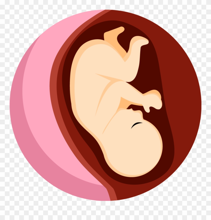 Obstetrics Clipart