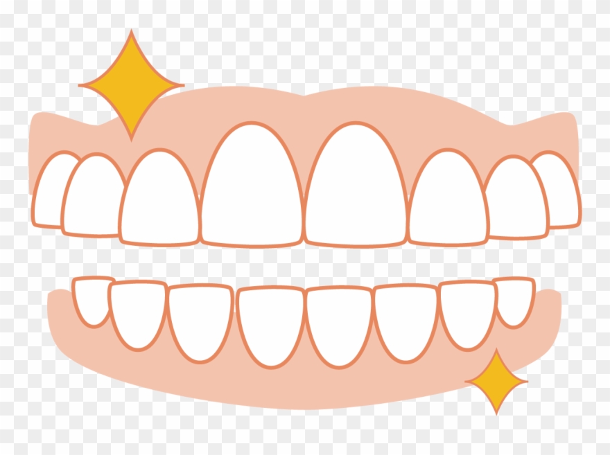 Dentures Clipart