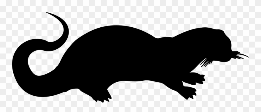 Sea Weasel Mammal Shape Comments - Ferret Clipart