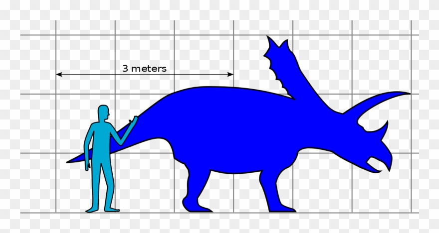 File - Pentaceratops Size - Svg Clipart