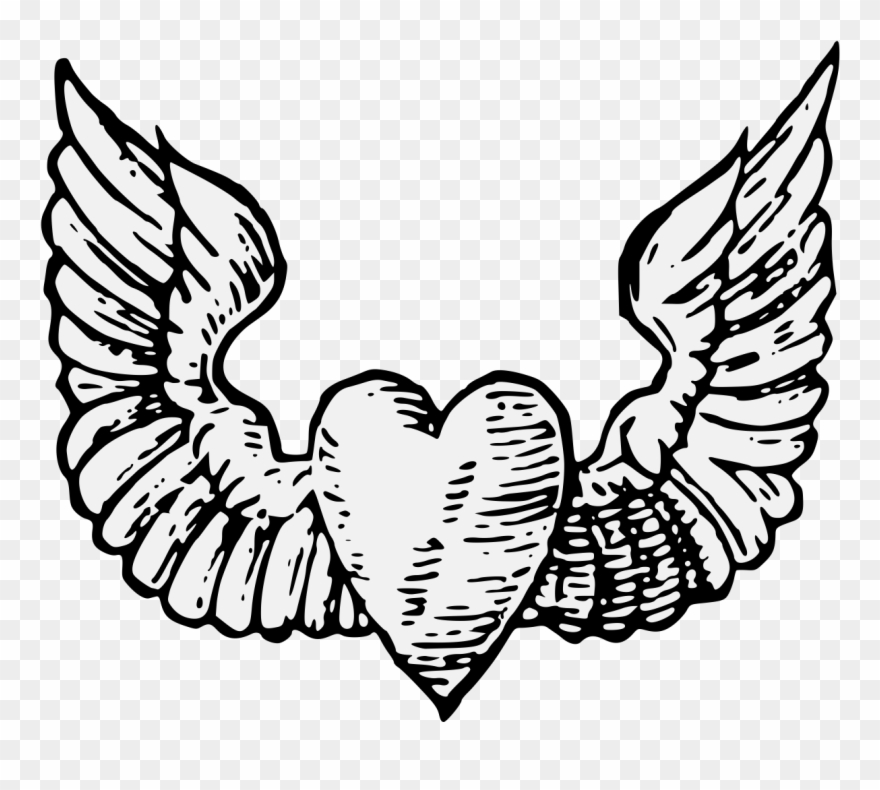 Winged Heart - ภาพ วาด หัวใจ ติด ปีก Clipart