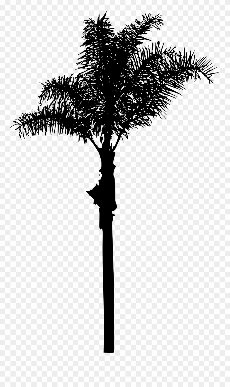 Free Download Clipart