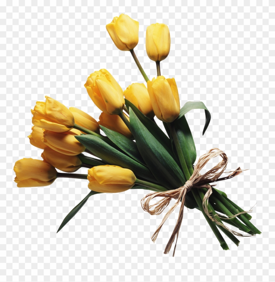 Bouquet Of Flowers Png Image Clipart