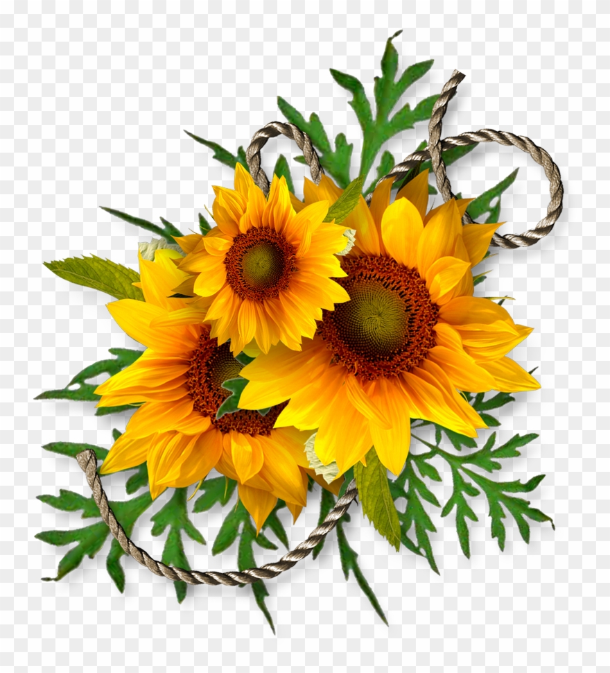 Cheyokota Digital Scraps - Bouquet Of Sunflowers Clip Art - Png Download