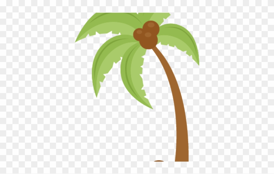 Cute Coconut Tree Clipart - Png Download