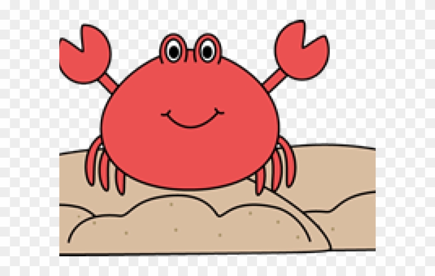 Hermit Crab Clipart Cutie - Png Download