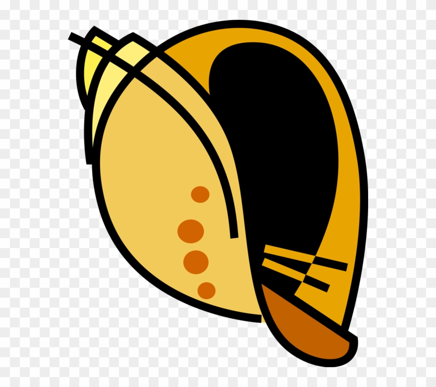 Sea Shells Image Illustration Of Aquatic Mollusk Clipart