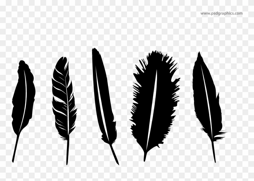 Feathers Silhouette At Getdrawings - Silhouette Feather Png Clipart