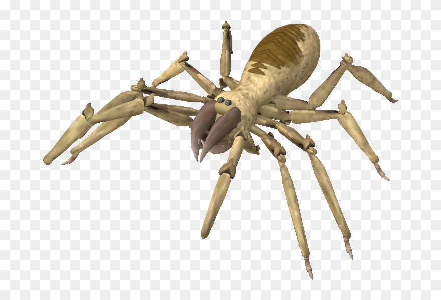 Graphic Library Download Messages Posted By Racieb - Spore Spider Clipart