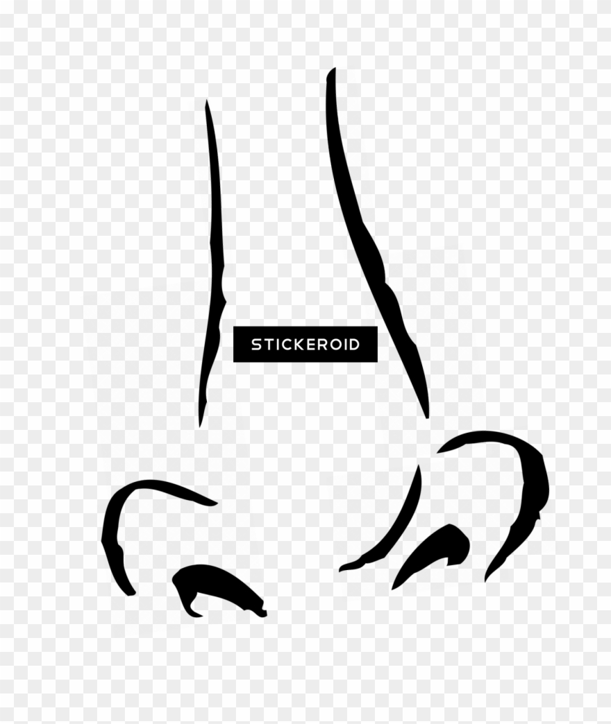 Human Nose - Drawing Clipart