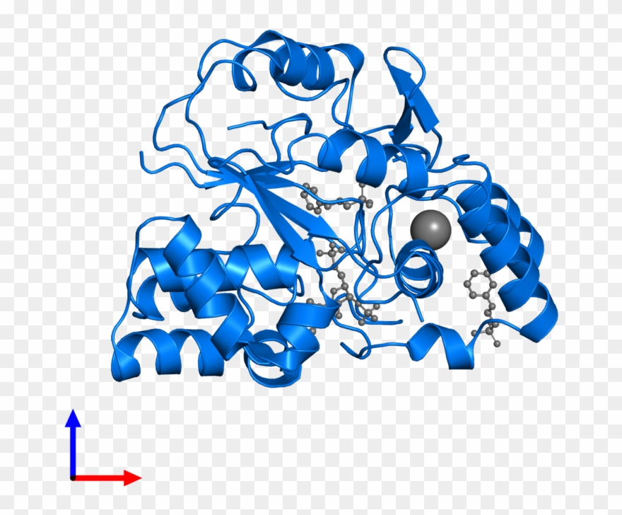 <div Class='caption-body'>pdb Entry 1q1q Contains 1 - Protein Data Bank Clipart