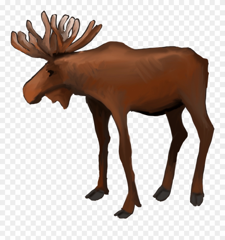 Vector Transparent Stock Magical Illustrations Banc Clipart