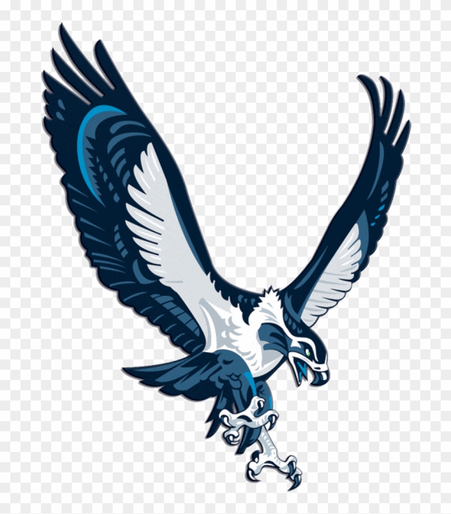 Seattle Seahawks Iron On Transfers For Jerseys - Seattle Seahawks Hawk Clipart