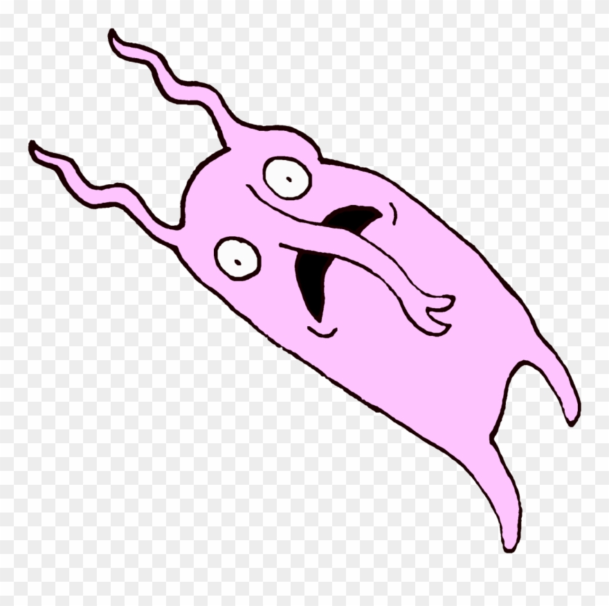 Frightened Rabbit Clipart