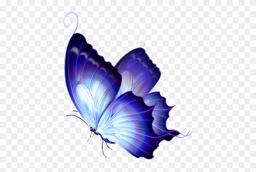 Фото, Автор Svetlera На Яндекс - Very Very Beautiful Butterfly Clipart