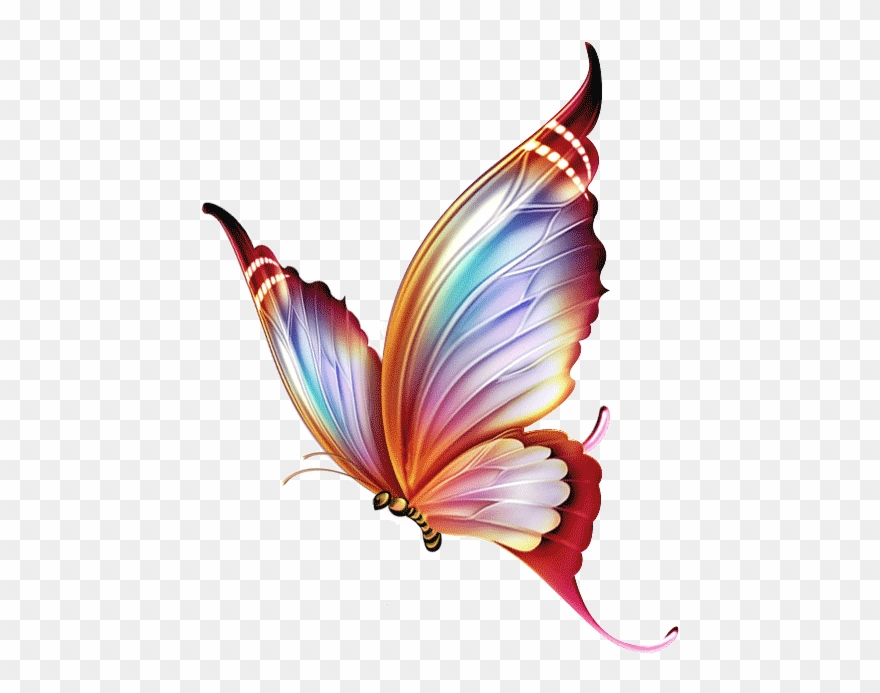 Vous Trouverez De Belles Images Pour Vos Blogs Colorful - Colour Pencil Drawings Butterflies Clipart