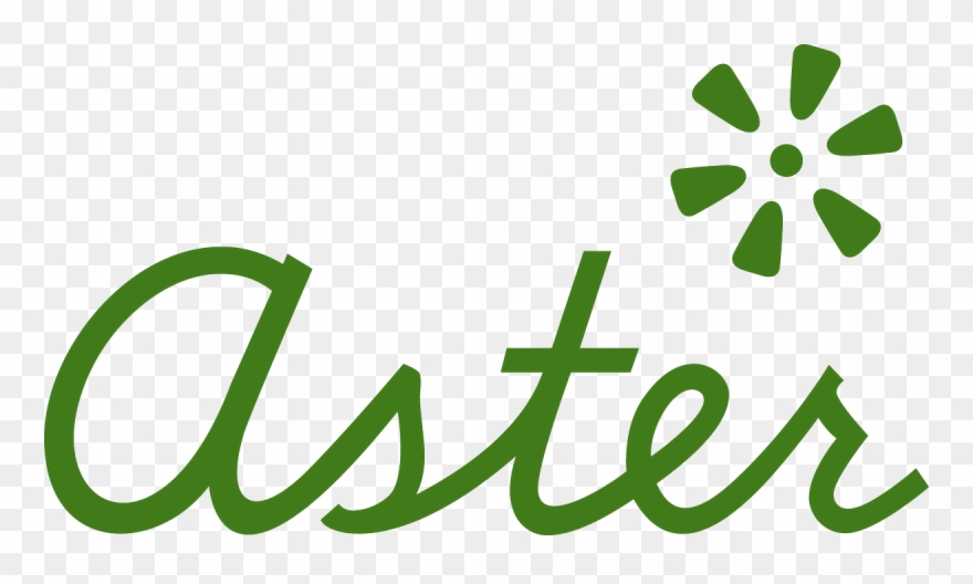 7 Feb - Aster Chaussures Clipart