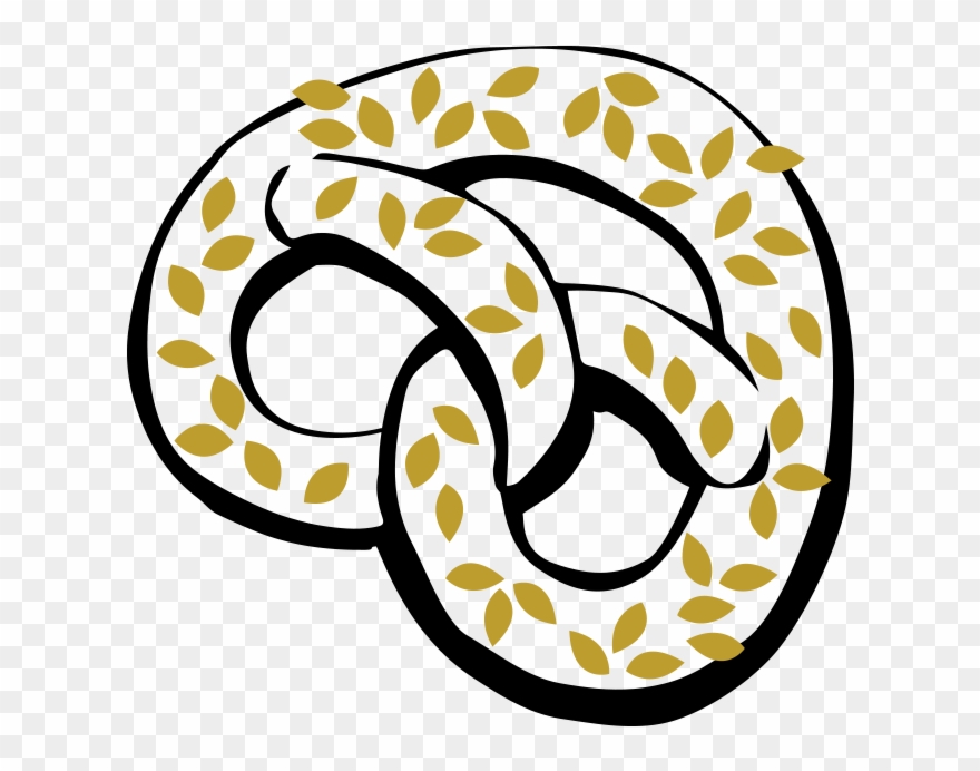 Sunflower Seed Pretzel - Common Sunflower Clipart