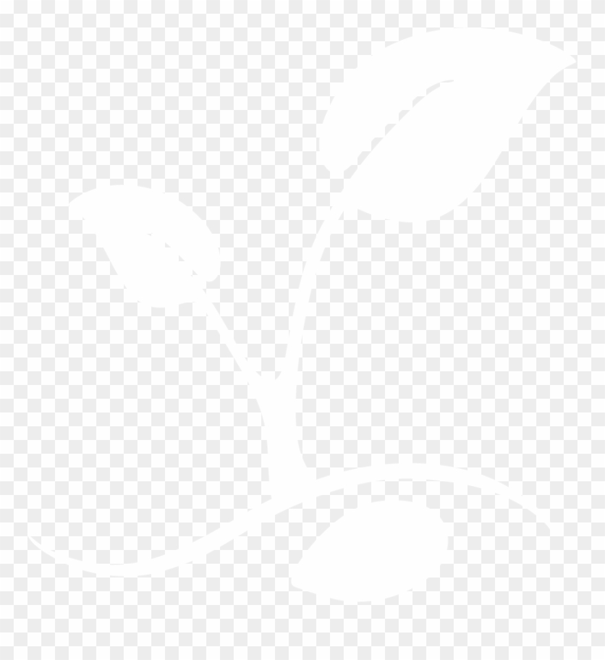 White Logo Only - Still Life Photography Clipart