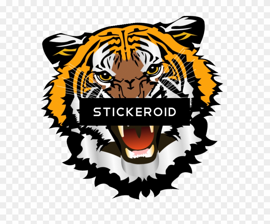 White Tiger - Tiger 5'x7'area Rug Clipart