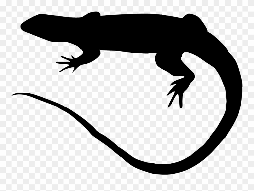 Clip Art Free Stock Transprent Png Free Download Reptile - Drawing Transparent Png