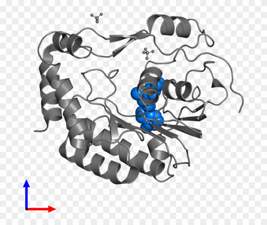 <div Class='caption-body'>pdb Entry 5m5b Contains 1 - Illustration Clipart